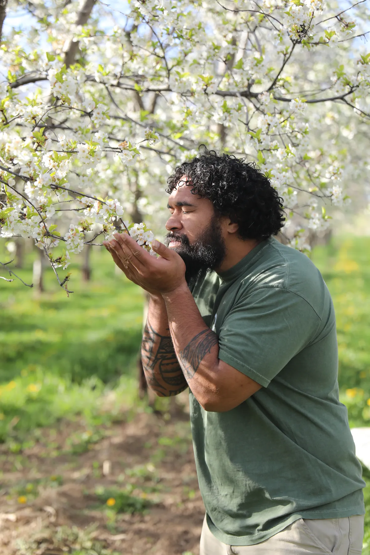A Safe and Sound Pianos team member in a Santaquin cherry orchard.