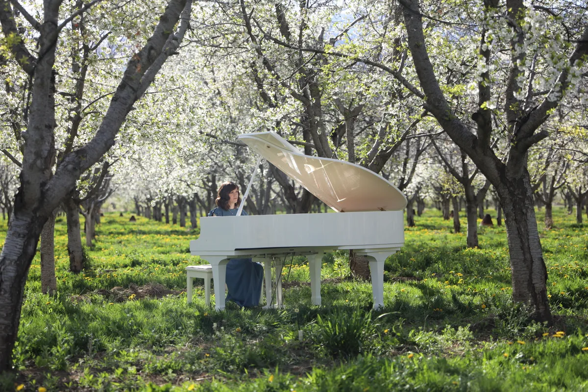 Pianist at a white grand piano in a blooming Santaquin cherry orchard.