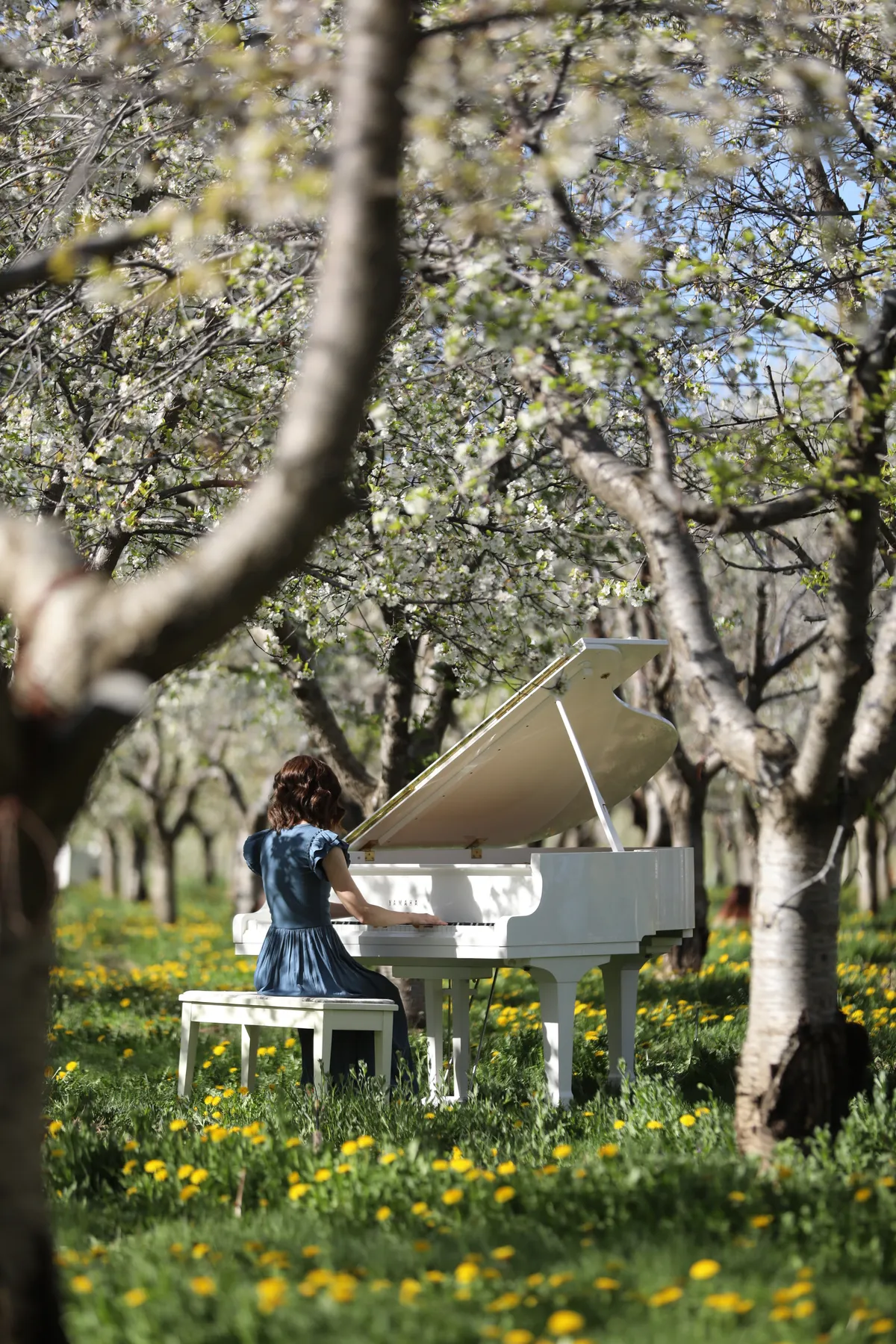Closing moment from a Santaquin orchard editorial shoot.